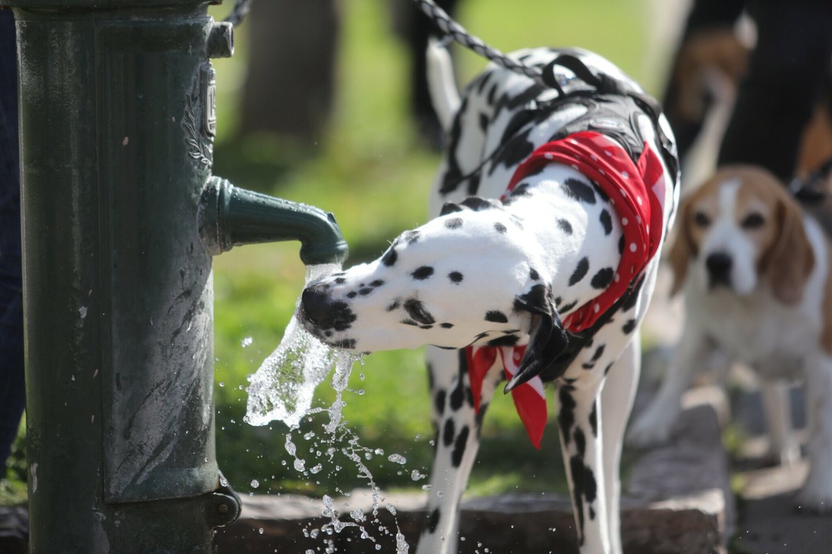 Nice-Matin tweet media