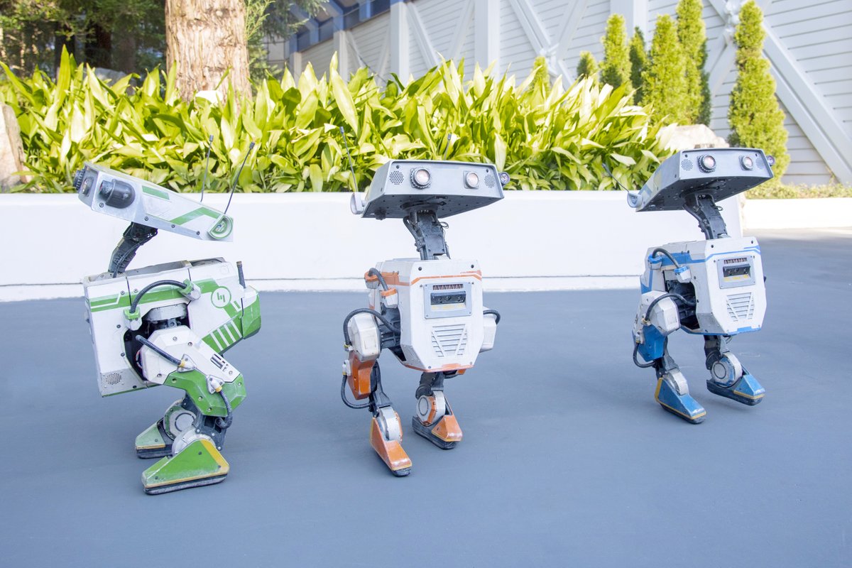 TDLに“新キャラ”2足歩行ロボット 『BDXドロイド』登場 ❗️ 人懐っこい