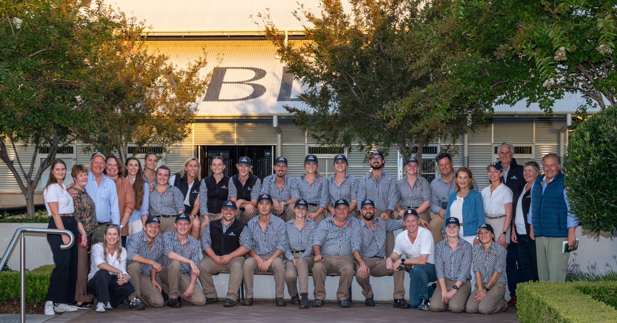 An incredible Inglis Easter Sale – and an even more amazing team behind it! We’re so proud to finish as the Leading Vendor by aggregate &amp; so grateful for every single Arrowfielder's dedication to achieving it, on the farm &amp; at Riverside. Congratulations &amp; thank you to