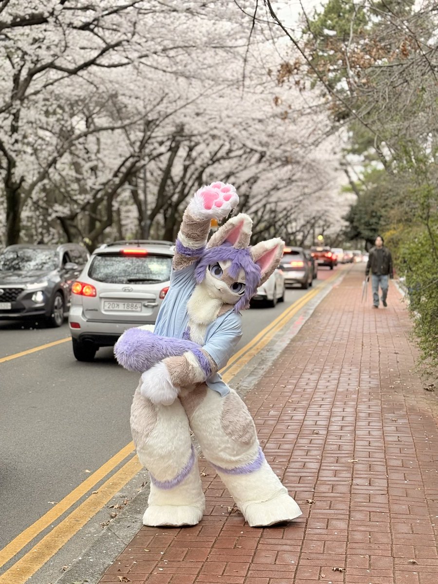 안녕안녕~🌸
#FursuitEveryday