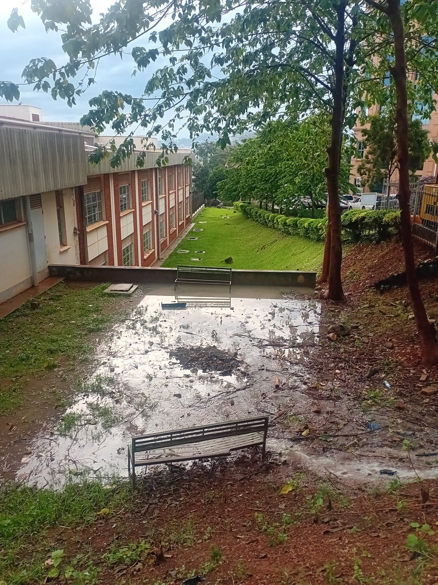 Maberi Nickson Wilson tweet media