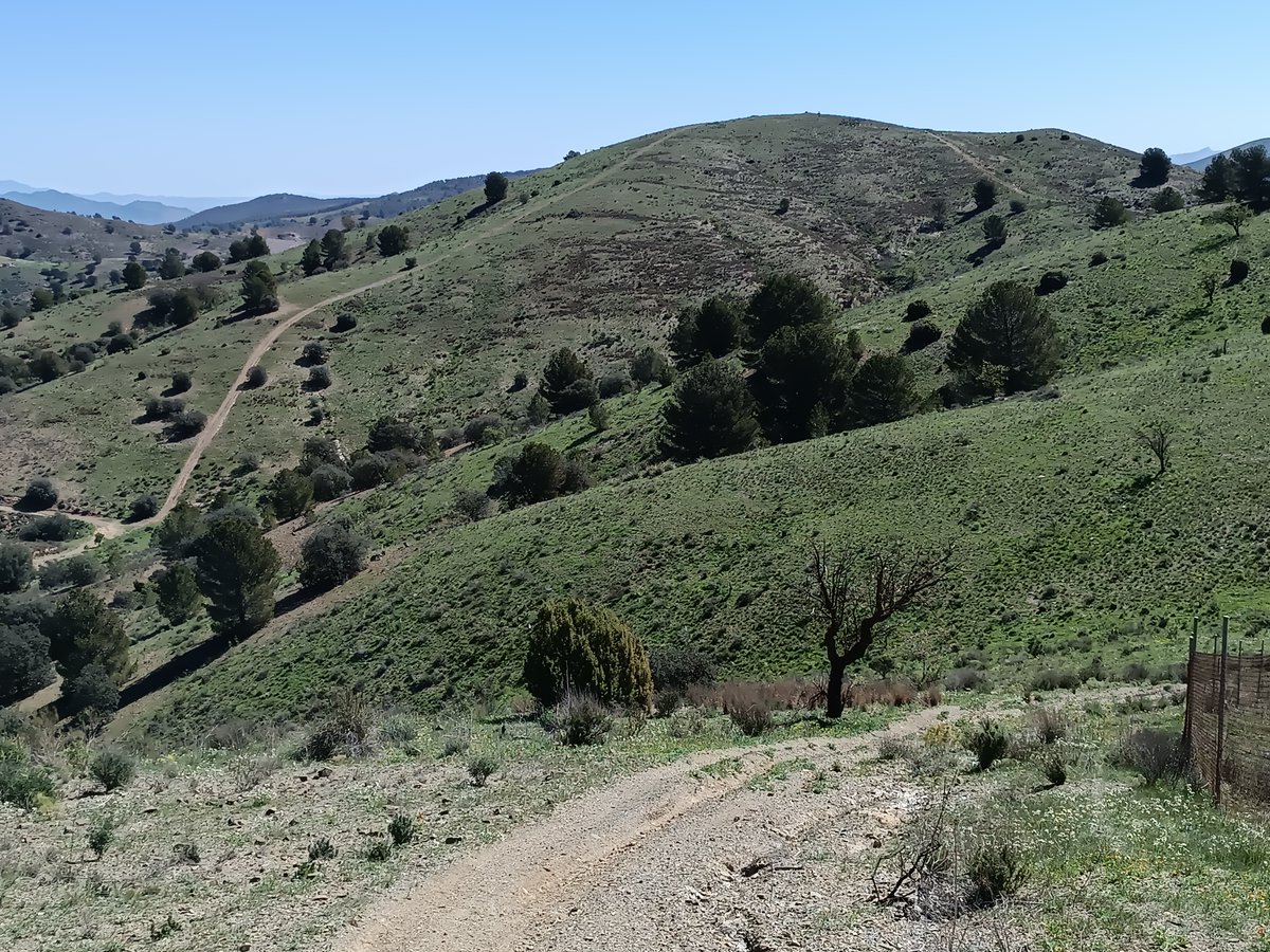 La_Carrasca's tweet image. 🌄 Este domingo, ¡seguimos con nuestras rutas!
Nos vamos a Ortillo, una ruta cercana pero espectacular por su vegetación exuberante, paisajes únicos y vistas que quitan el aliento 🌿👣
🕗 Domingo 13 de abril | 8:00 h | Punto de encuentro habitual
✨ ¡No te lo pierdas! #Lorca