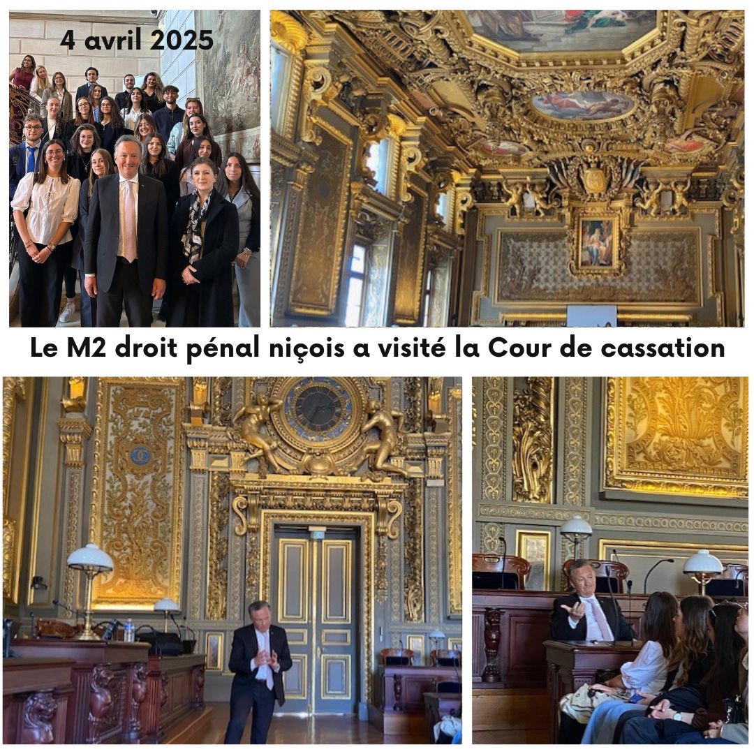 Le #M2 #droit #pénal de la #faculté de #Nice a visité la Cour de cassation pendant 3h avec M. l'avocat général à la 1ère ch. civ. Renaud Salomon : toutes les chambres, dont la criminelle, la splendide bibliothèque, les tours, etc. Quelle après-midi instructive, et que de beauté !