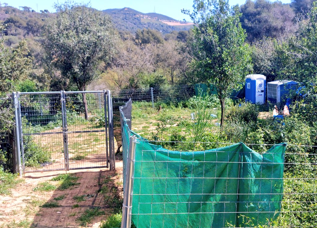jmaurir's tweet photo. La 6a setmana de seguiment de papallones a #Montcada ja indica una primavera exuberant: 99 papallones de 16 espècies en un entorn castigat i vulnerable on el barraquisme segueix creixent (de 2a residència!). Malgrat tot, elles hi són: verdeta d'ull blanc i migradora dels cards https://t.co/6rWcT19YKn