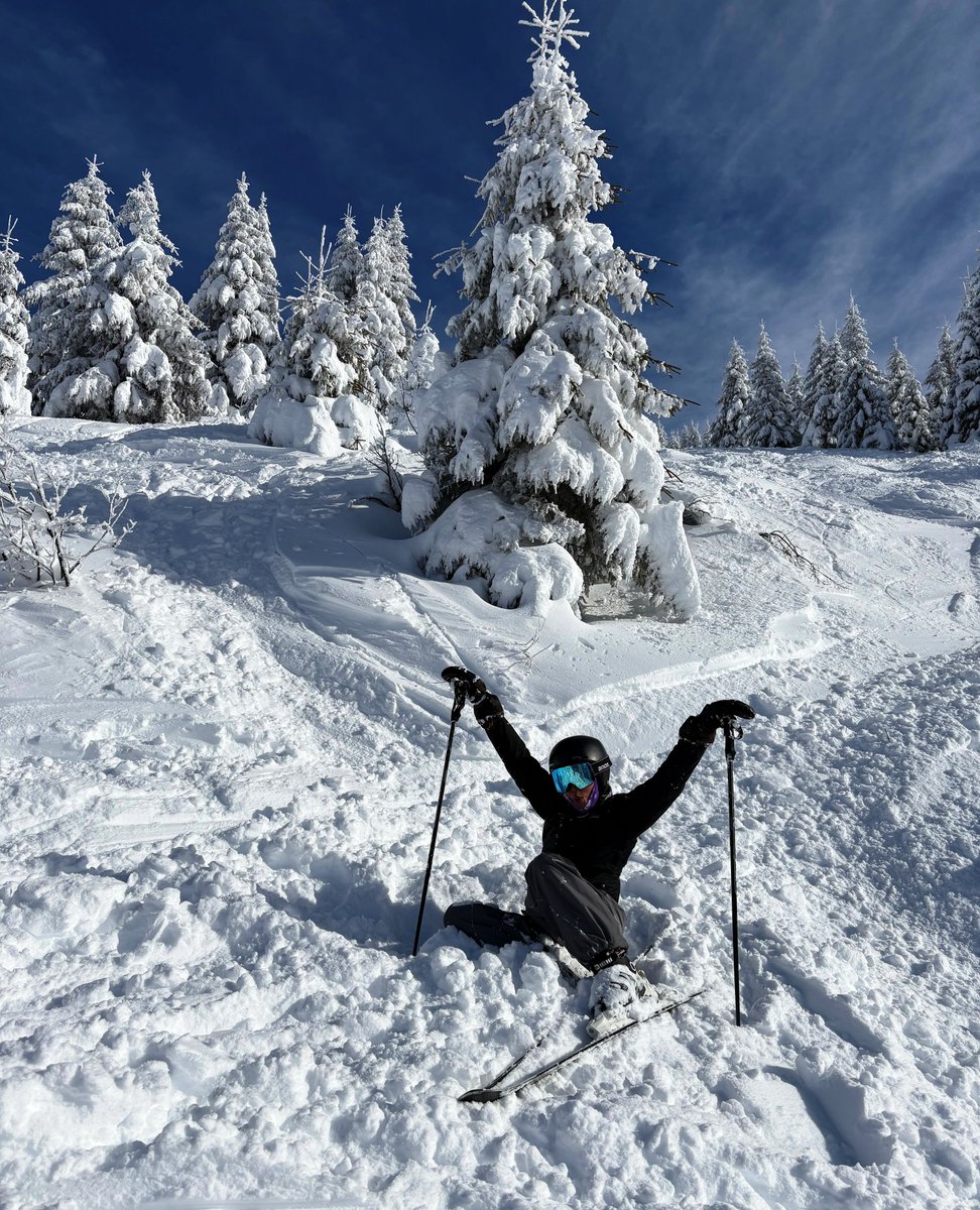 More Mountain tweet media