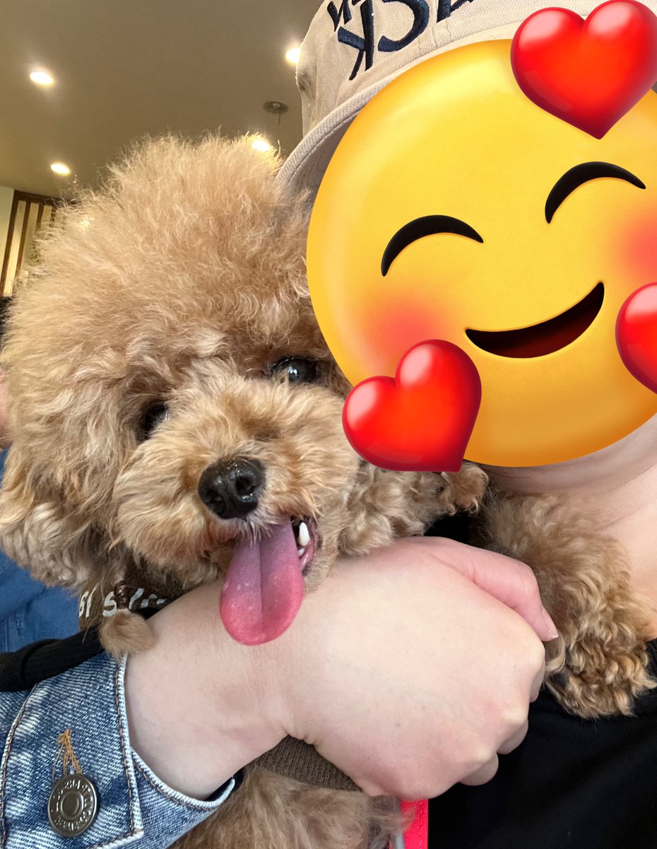 ILOVE_Chocokun's tweet photo. 桜見物来て友達と取り敢えずランチ🍽
花より団子ꉂ🤣𐤔
めっちゃ美味しかった😋
ムゥちゃん三つ編みしてめっちゃ可愛い😍
#JOYSTABLE https://t.co/V0JaK9dPEH