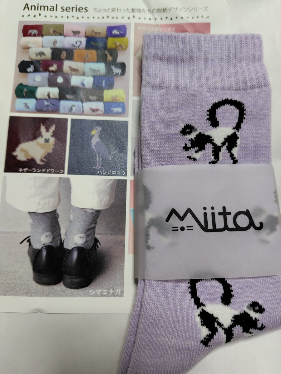 marroblgonor's tweet photo. クロシロエリマキキツネザル柄の靴下!
買わずにはいられなかった😆
#miita https://t.co/Epibjb3igk