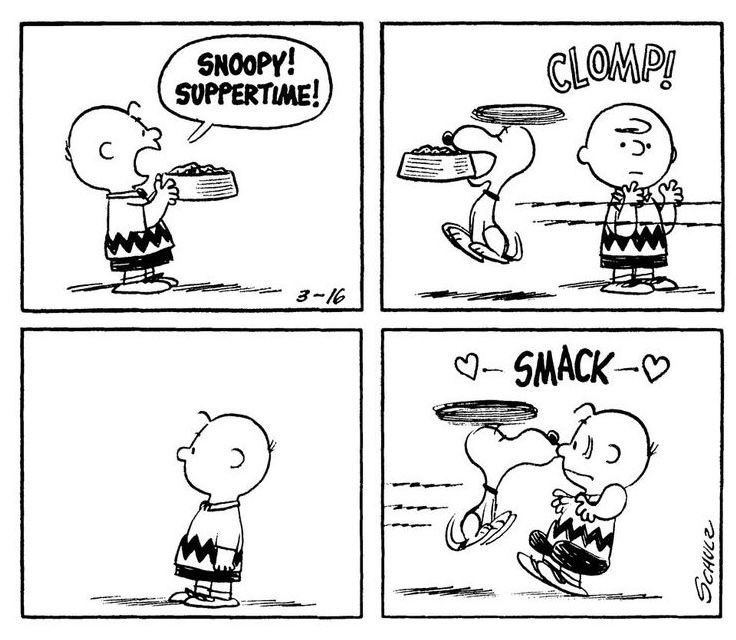 Daily Snoopy (@dailysnoopys) on Twitter photo 