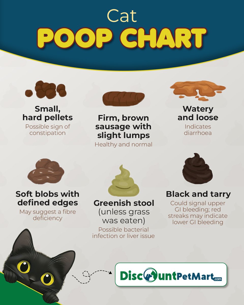 DiscountPetMart's tweet image. Yes, your cat's poop matters! Check our chart to help you understand it all and keep your feline friend healthy.🐱

#CatHealthMatters #catcaretips #CatHealth #healthycathappycat #pethealth #catpoop #petparents #discountpetmart #catlovers #HealthyPetsHappyPets #pethealth
