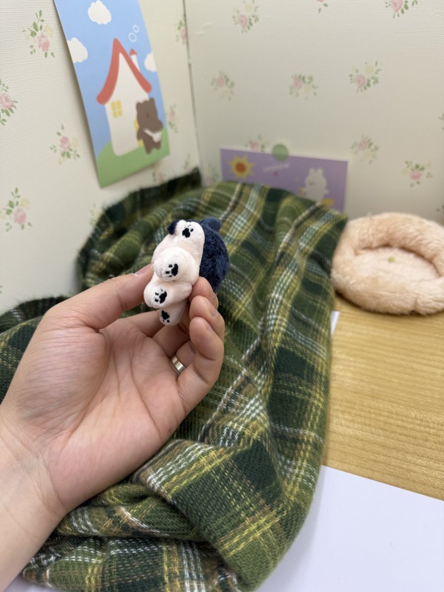 주인입니다
기야바요