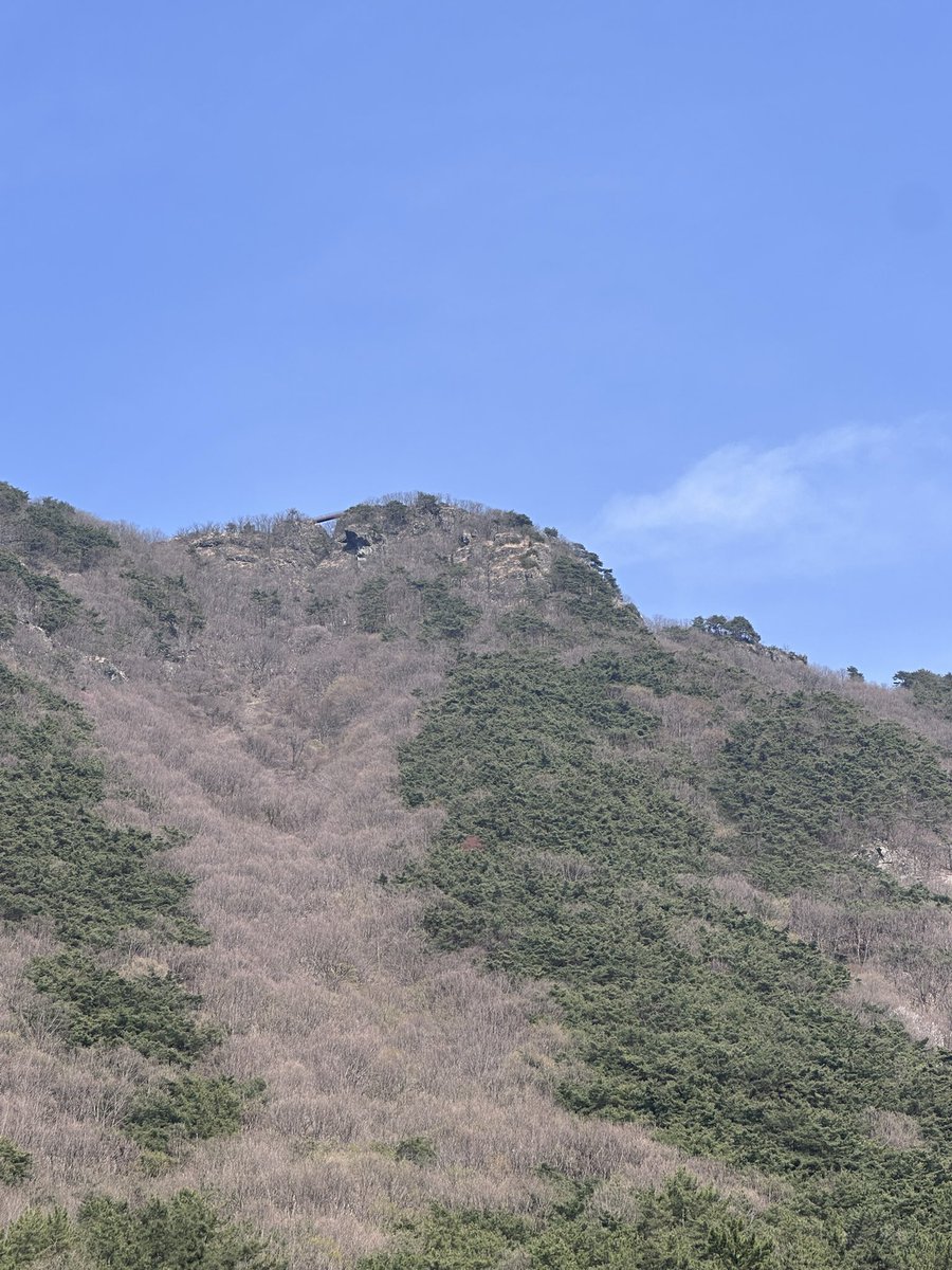 간만에 온 #화순 #동구리호수공원 투썸 
루프탑이 좋아서 바람이고 싶을 때 딱인 곳 ㅎ
산이 있고 호수가 머물고
꽃이 피고 바람이 흐르니
자연이기에 좋은 🫠🫠🫠

평일은 조용한 편인데 벚꽃이 만개해서 그런지
오늘은 북적북적 하네 ㅎㄷㄷㄷㄷ