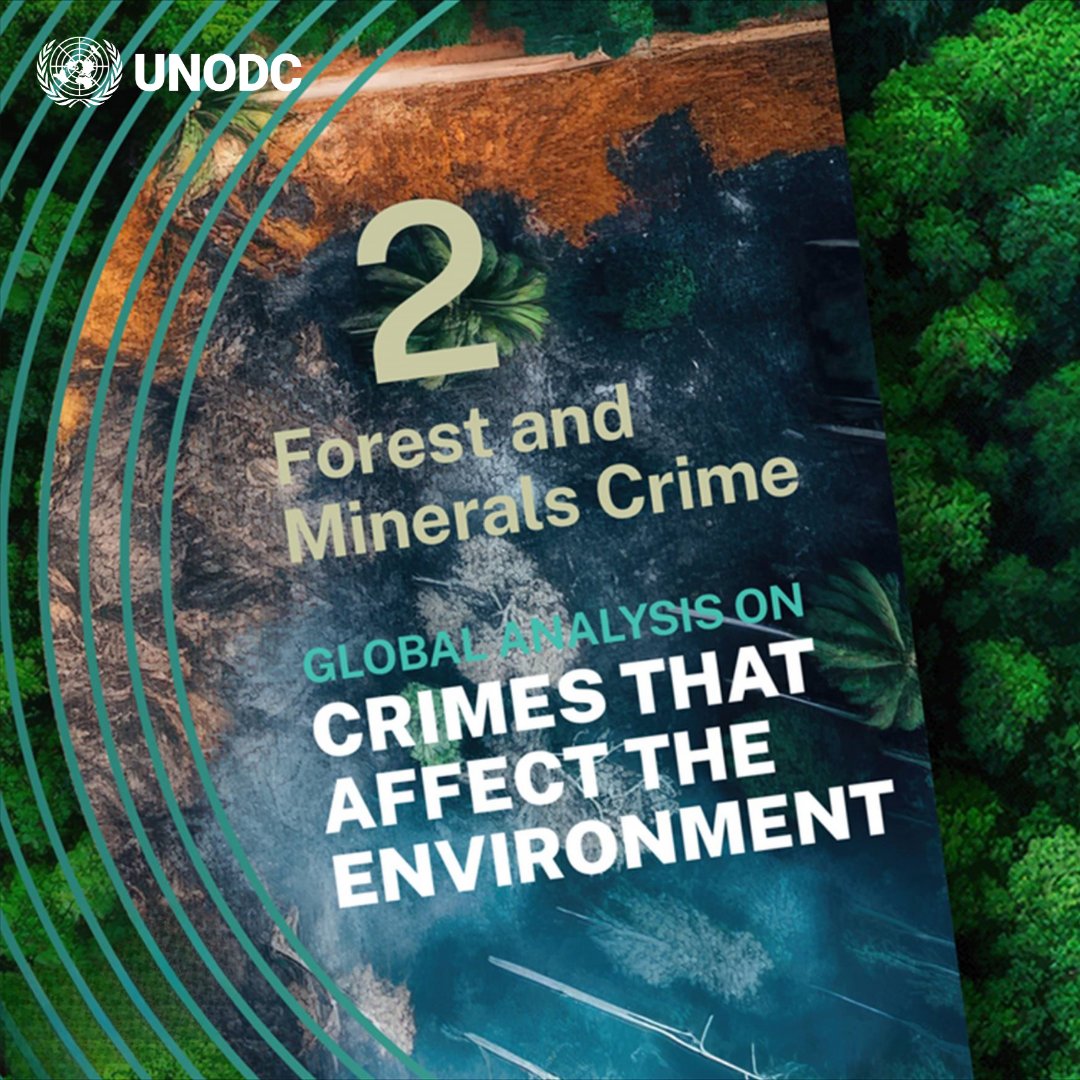 📗New Release‼️

The Global Analysis on Crimes Affecting the Environment dives into illegal deforestation and logging, exposing organized crime's role in forest destruction.

Learn about key regions, causes, and impacts: bit.ly/4iUPUg3

#EndENVcrime