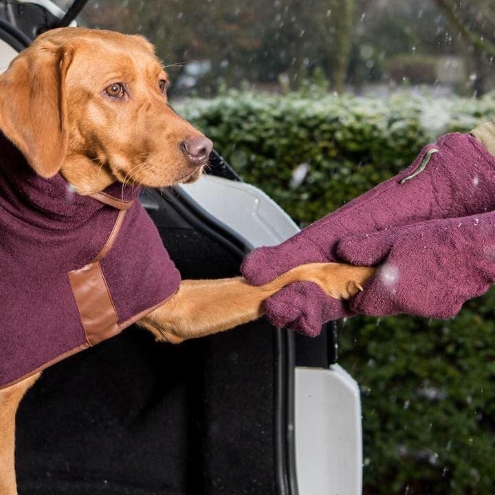 Dotty4Paws (@dotty4paws) on Twitter photo Distinctive Pets sell a fabulous range of #gifts for pets including natural, healthy treats, #ecofriendly toys and a selection of #dog drying coats
What more they sell gifts for the doting pet pawrent too!
dotty4paws.co.uk/businesses/lis…
#EarlyBiz <a href="/DistinctivePets/">Distinctive Pets - home of Muddy Dog Day</a> Distinctive Pets sell a fabulous range of #gifts for pets including natural, healthy treats, #ecofriendly toys and a selection of #dog drying coats
What more they sell gifts for the doting pet pawrent too!
dotty4paws.co.uk/businesses/lis…
#EarlyBiz <a href="/DistinctivePets/">Distinctive Pets - home of Muddy Dog Day</a>