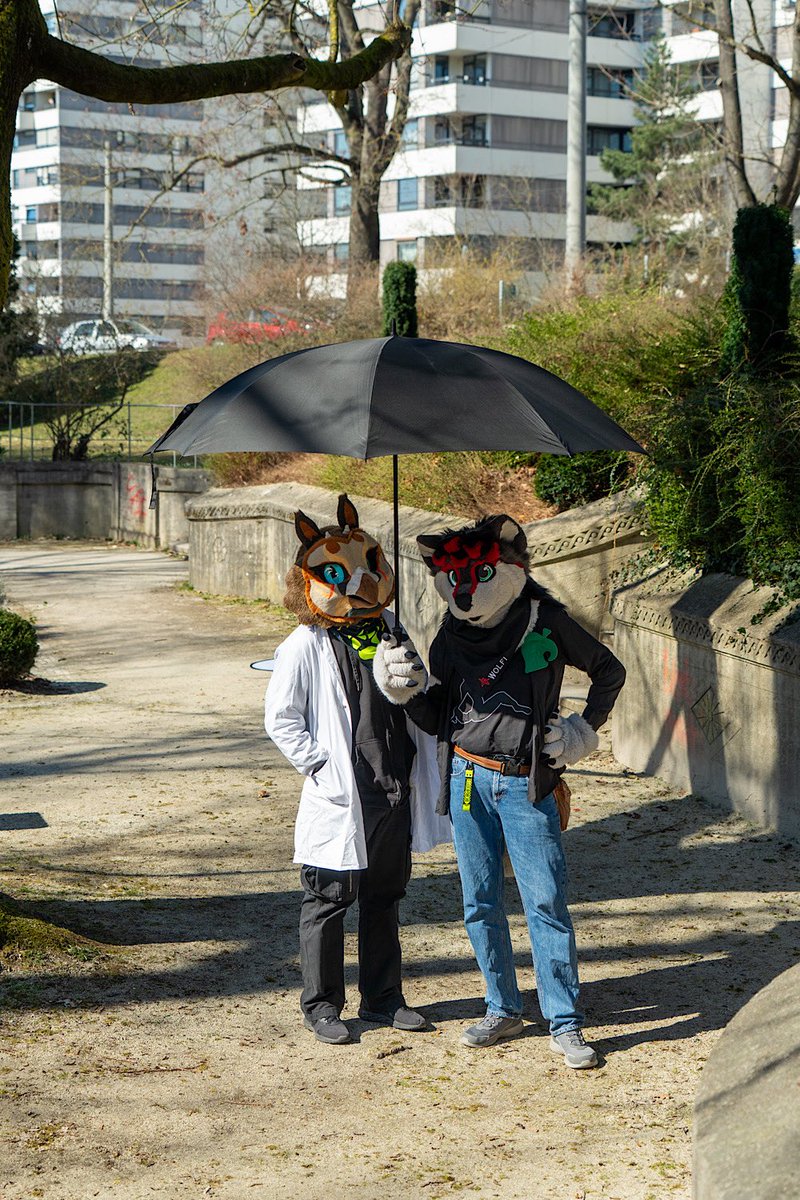 Wolfi / Cthulhusnet (@cthulhusnet) on Twitter photo Good Monday with my Hoot friend.
🦉 Flewi / 🐺 me
✂️ <a href="/FurNEkkoCr/">FurNEkko Creations ⸸ NEkko</a> / Kekswerke
📷 Calder
#furry #furryfandom #furrycommunity #fursuit #fursuiting #fursuiter #wolf #owl #furrywolf Good Monday with my Hoot friend.
🦉 Flewi / 🐺 me
✂️ <a href="/FurNEkkoCr/">FurNEkko Creations ⸸ NEkko</a> / Kekswerke
📷 Calder
#furry #furryfandom #furrycommunity #fursuit #fursuiting #fursuiter #wolf #owl #furrywolf