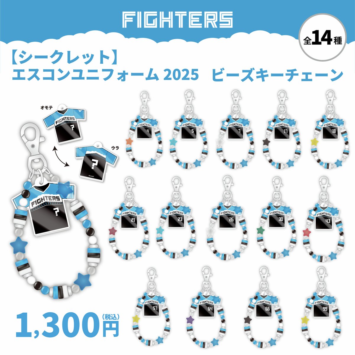 ◇━━━━━━━━━━━━━━━━━◇ ✨エスコンフィールド