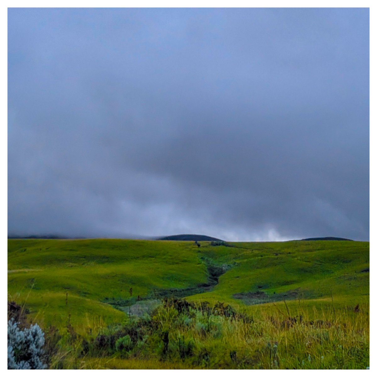 Daniel Mlabwa tweet media