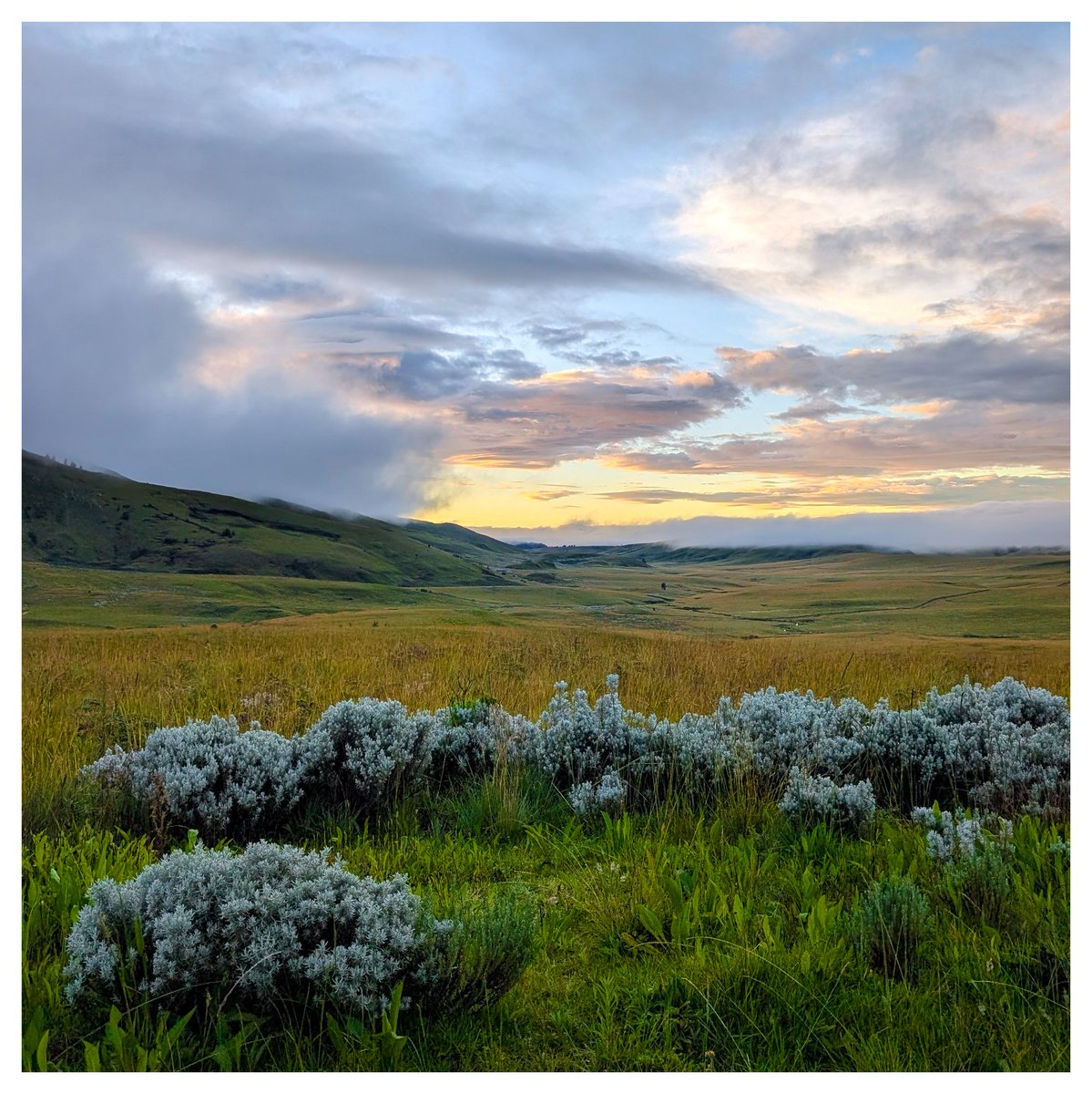 Daniel Mlabwa tweet media