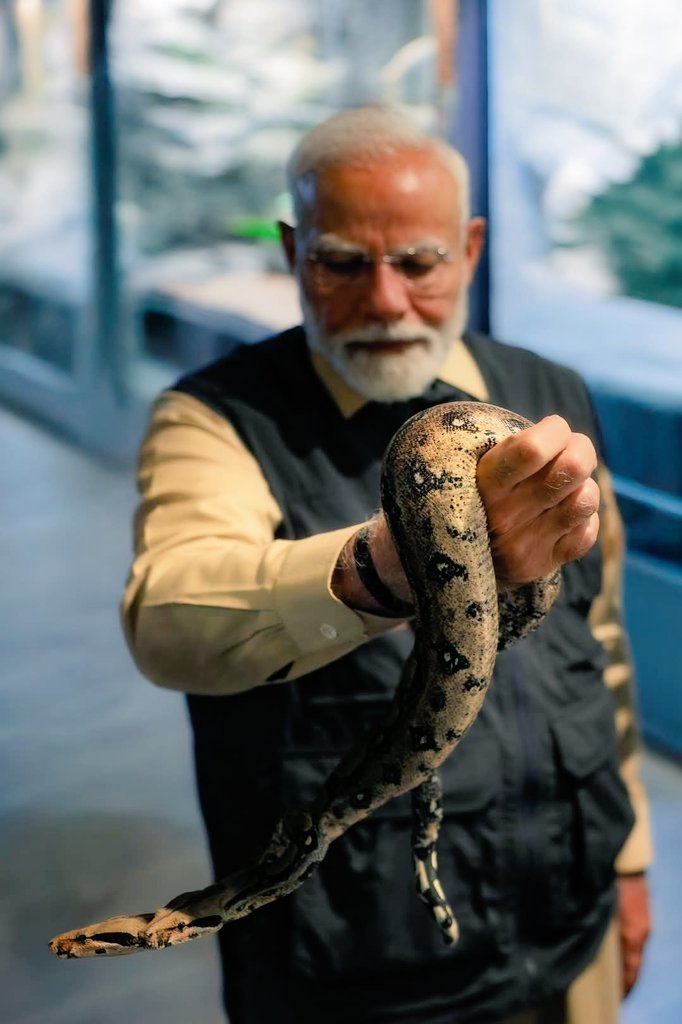 MrMishra's tweet photo. आगे आगे देखिये, होता है क्या ❓

Stock Market India Crash 😱😱
हाय हाय मोदी मत करो.. फिर क्या..?

आइए जो मुझे समझ आया आपको भी समझाता हूँ! 

8 नवम्बर 2016 को नोटबन्दी हुई, तो लगा बस काला धन खत्म करने की स्कीम है। लेकिन जब मुस्लिम लीग और सेक्युलर गिरोह ने “इटली रोना” शुरू किया तो जिज्ञासा जागी —
आखिर ये है क्या... ?

बहुत ही महत्वपूर्ण पोस्ट है, पूरा कमेंट में पढ़िए.. 👇