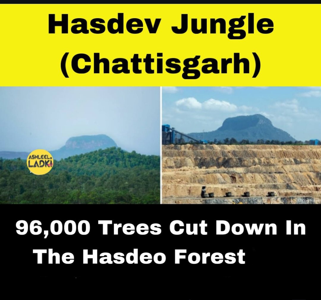 Tanish84180493's tweet photo. Hasdeo is a rich biodiversity hotspot of India 🇮🇳 covering 170,000 hectares of forest land with over 450 species of plants &amp; animals and over 20,000 indigenous adivasi people live here.
#SaveHasdeo #SaveHasdeoForest https://t.co/TRIgGxm68W