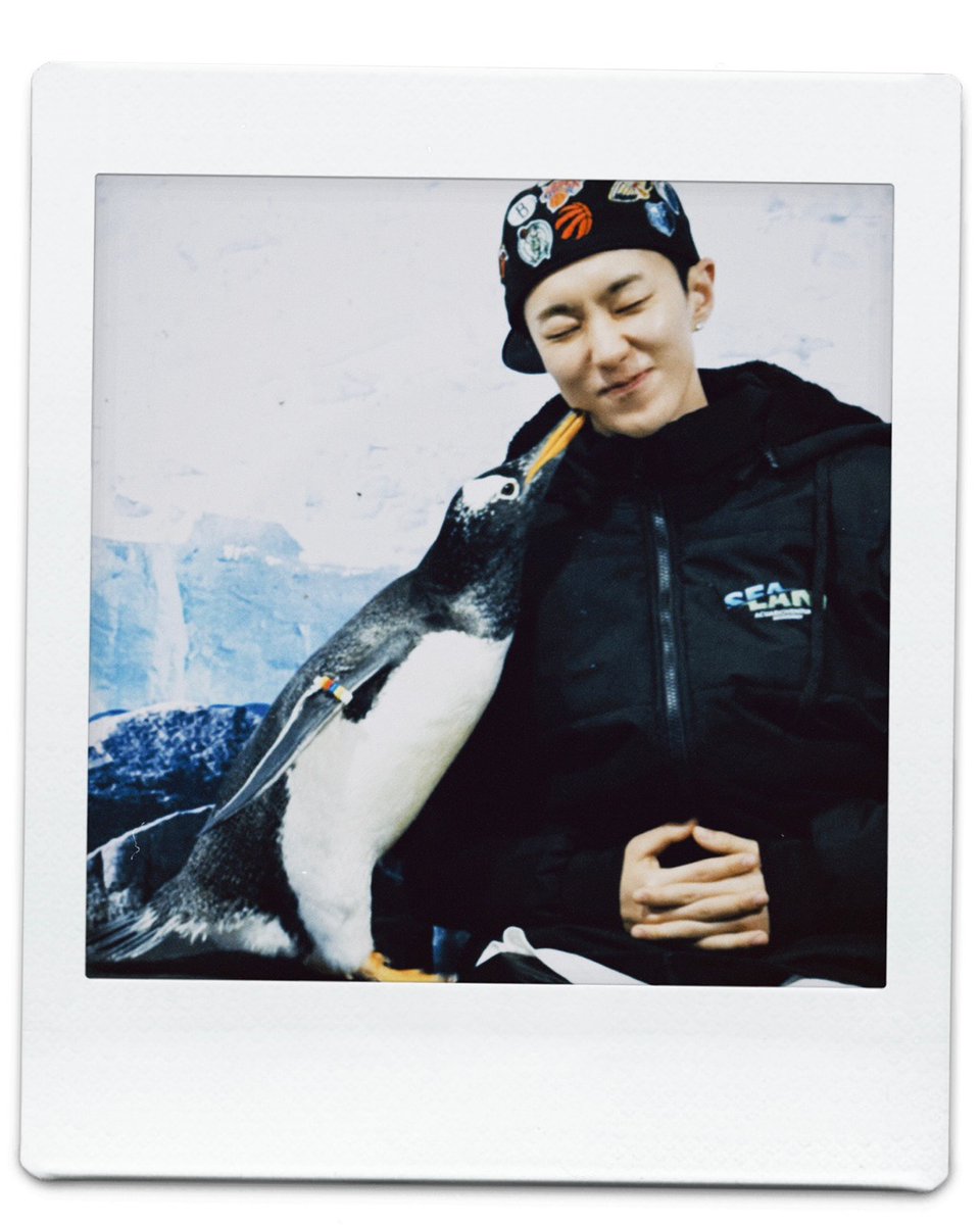 HOSHI AND PENGUIN 🥹🥹🥹🥹🥹🐧🐯