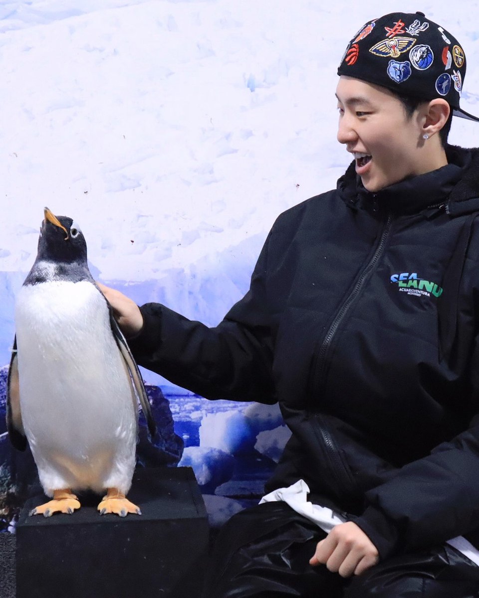 When a tiger met a penguin. 🐯🐧