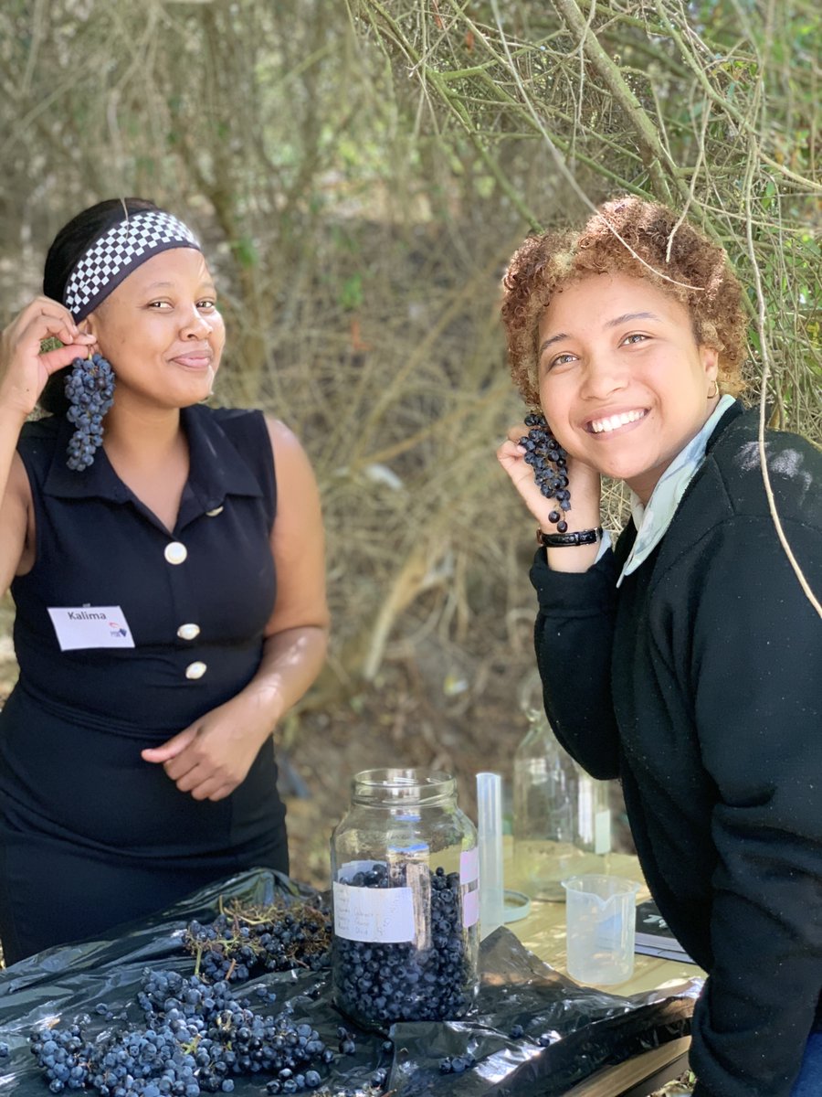 Our Wine Practitioner students are getting hands-on with the magic of winemaking! Last week, they kicked off their Introduction to Oenology short course by Stellenbosch University — diving into grape processing, fermentation, and how different wine styles are crafted.
