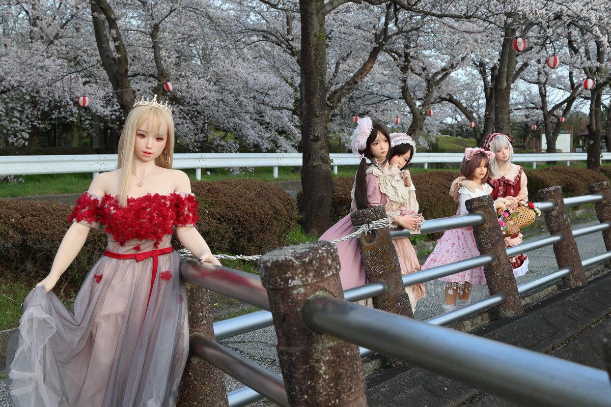 m30401122's tweet image. 宮家5姉妹とお花見に行ってきました。長女の愛美が仕切ります。朝日を浴びた姉妹達はとても気持ちよさそうでした。
 #ロリィタ  #伊佐沼公園  #桜