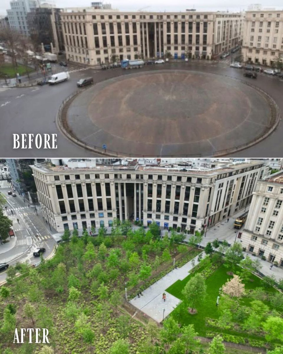 Katalonijas laukums Parīzē no asfalta un akmens tuksneša kļuva par urbāno mežu, 2024. gadā iestādot 470 koku.
Foro no facebook.com/archpng