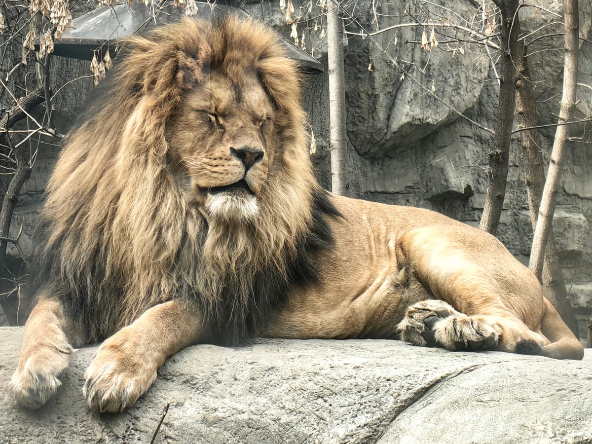 Еvgeniya (@evgeni1934115) on Twitter photo 