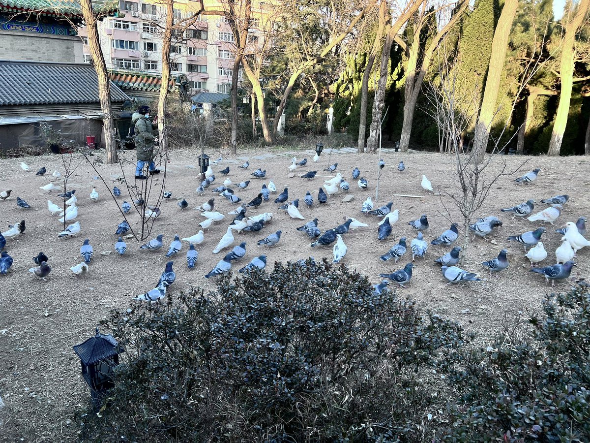 三代一对 tweet media