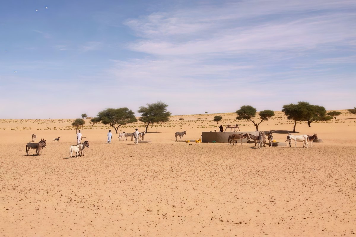 CNPC_NigerBenin's tweet photo. renforçant ainsi l’engagement de la CNPC au Niger en faveur du bien-être local.
#CNPC #Petrochina #puits https://t.co/17IDK5nrSN