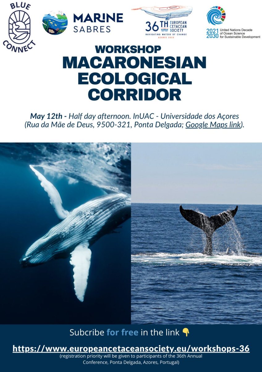 🐋 Join us at #ECS2025 in the Azores!

🌊 Discover how the #MacaronesianEcologicalCorridor can #protectCetacean routes &amp; boost #MarineConservation 💙

📅 May 12 | 2PM (Azores time)
📍 InUAc – University of the Azores
👉 Register: lnkd.in/dh679-hn

#BLUECONNECT #MPAs