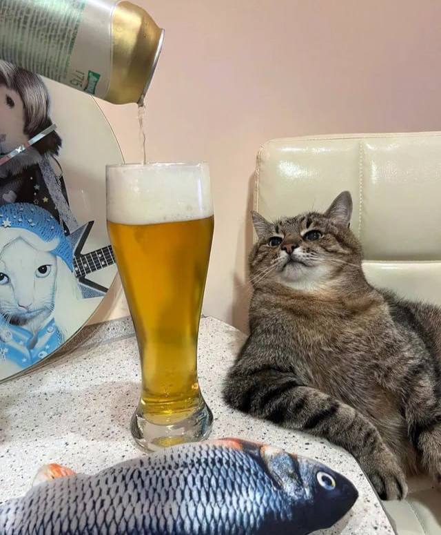 Cегодня отмечается День лёгкого пива и Всемирный день здоровья.

Идеально для понедельника.