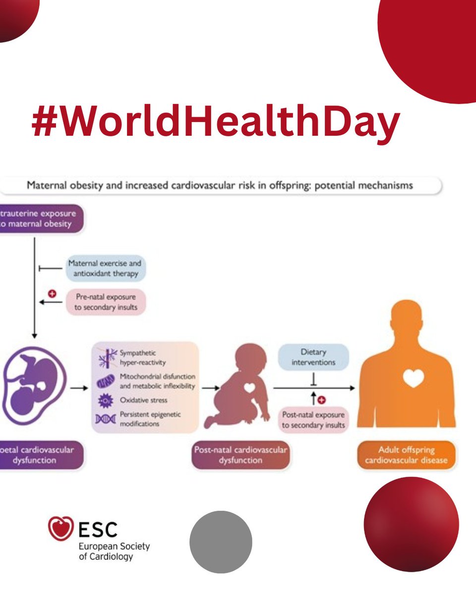 Today is #WorldHealthDay 

Maternal obesity and increased cardiovascular risk in offspring: potential mechanisms ow.ly/JaRN50Vuvgu

#Foetus #cardiovascular #epigenetics #pregnancy #obesity