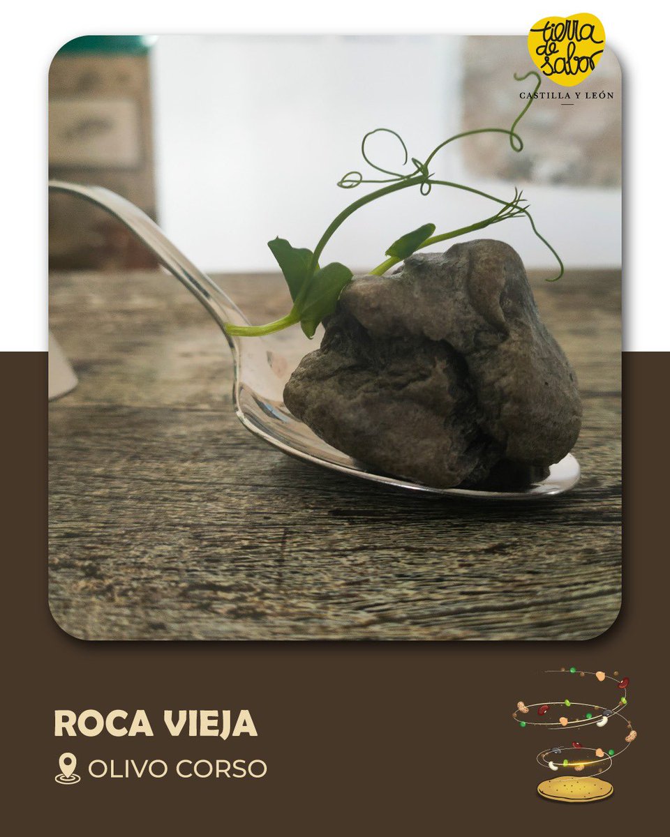 «Roca Vieja» de #chefcarballeira es un profiterol salado, donde se pone en valor el #GarbanzodeFuentesaúcoIGP y su versatilidad en la cocina de aprovechamiento de recetas tradicionales, como la ropa vieja de cabra majorera, realzando su cremosidad y sabor. 

#desTAPAlasLEGUMBRES