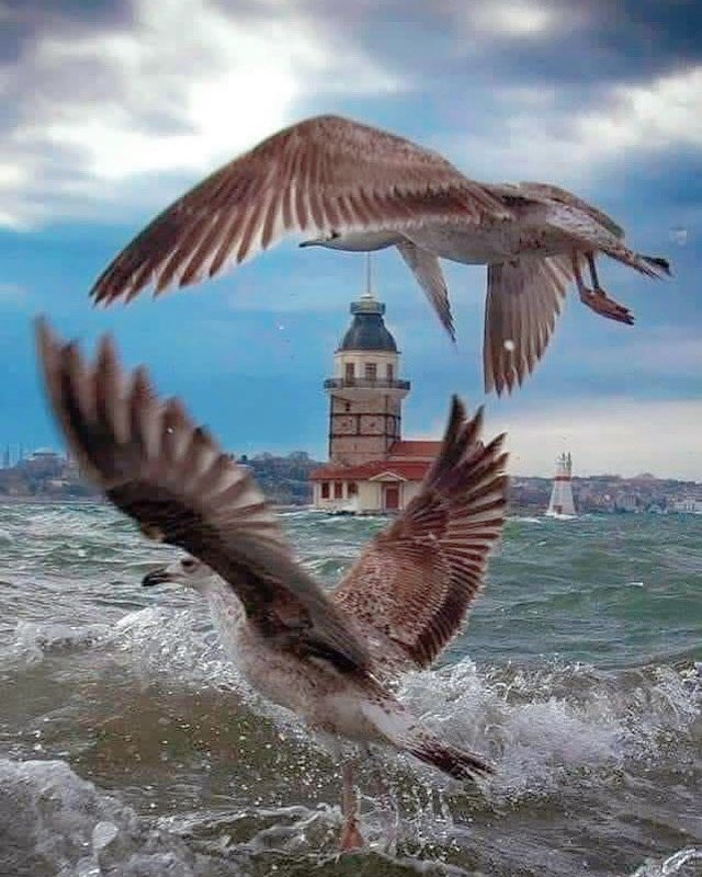 Gününüz Aydın Olsun &amp; İyi Haftalar🌈☀️☀️ #günaydınistanbul