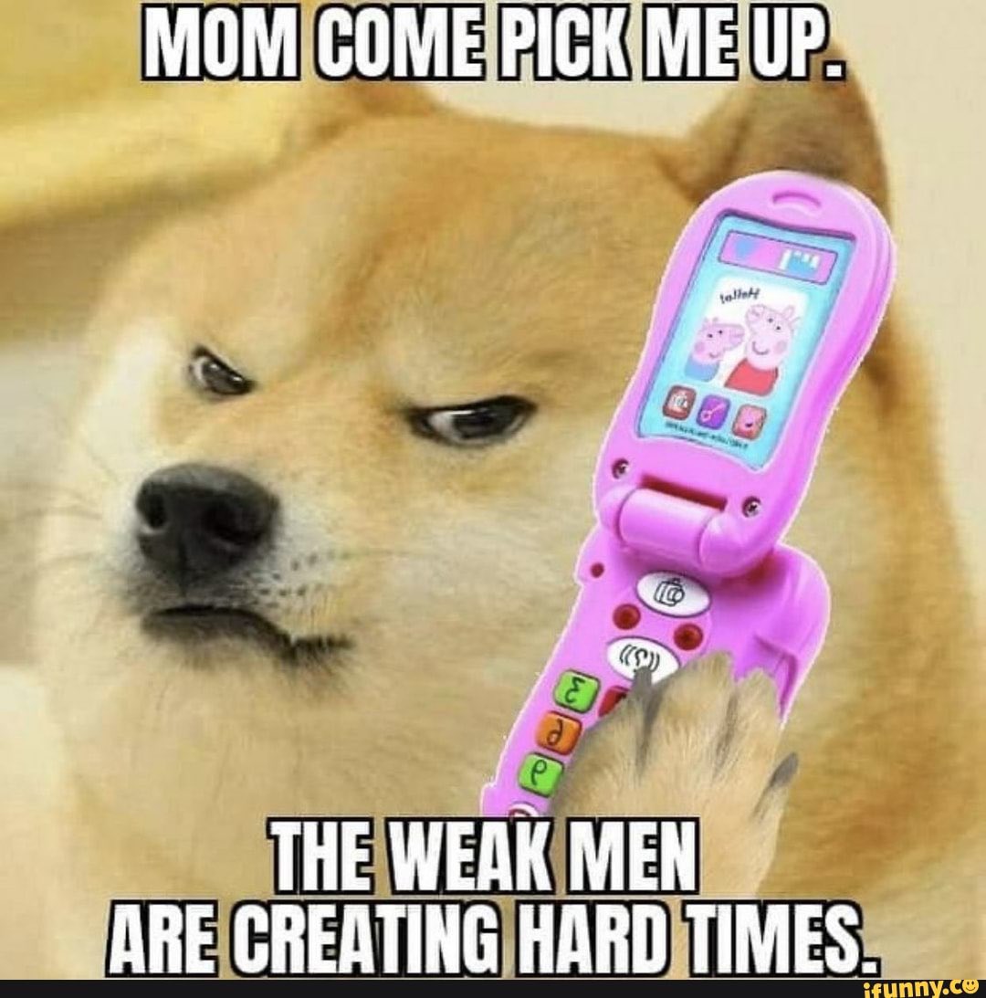 Citrini (@citrini7) on Twitter photo 