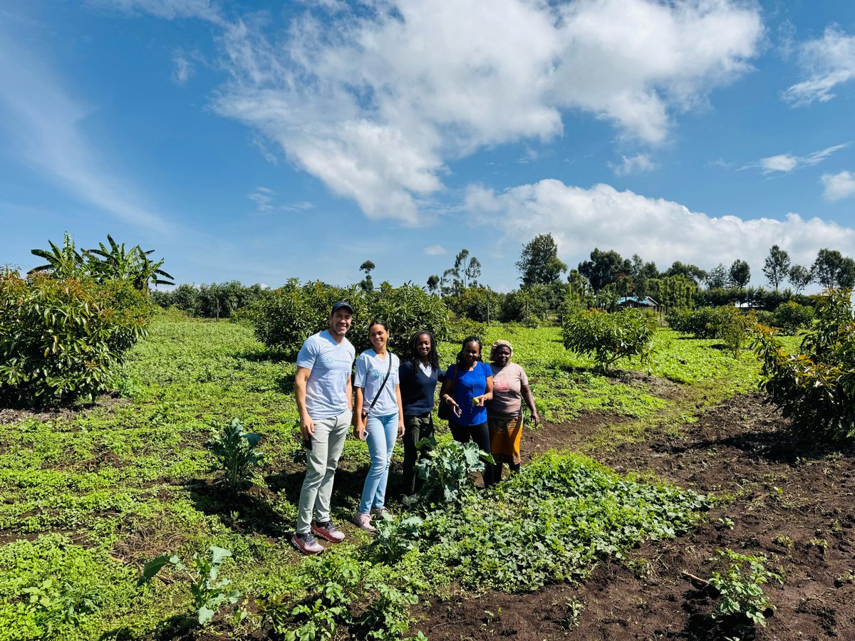 TomorrowNow tweet media