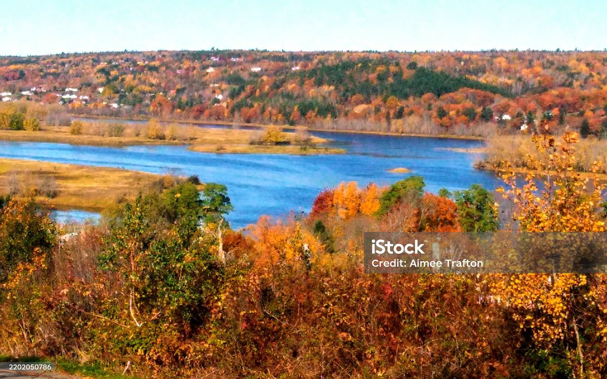 📸If you are a small business, freelancer, or someone looking for affordable nature stock images for your website or blog, please consider my portfolio on IStock by Getty Images (link in bio).   
#Fredericton #newbrunswick #istockbygettyimages
<a href="/iStock/">iStock</a> #istockphotos #istock