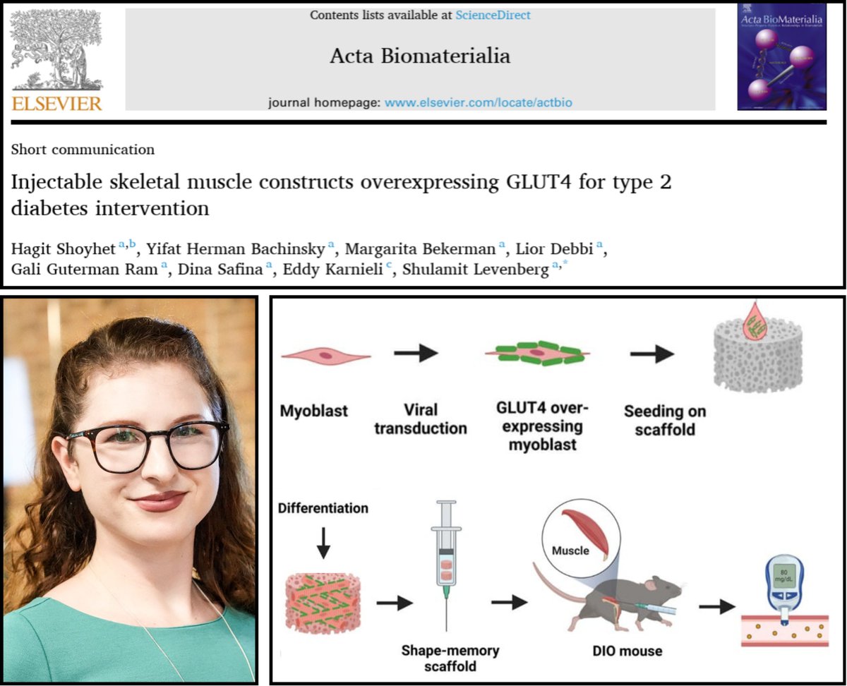 Levenberg Lab (@levenberglab) on Twitter photo Happy to share our latest publication in <a href="/ActaBio/">Acta Biomaterialia</a> !
In this study, we created injectable muscle constructs that integrate with native tissue and overexpress GLUT4 to improve blood sugar control in diabetic mice.
Read the article here: lnkd.in/dZaRHUHY Happy to share our latest publication in <a href="/ActaBio/">Acta Biomaterialia</a> !
In this study, we created injectable muscle constructs that integrate with native tissue and overexpress GLUT4 to improve blood sugar control in diabetic mice.
Read the article here: lnkd.in/dZaRHUHY