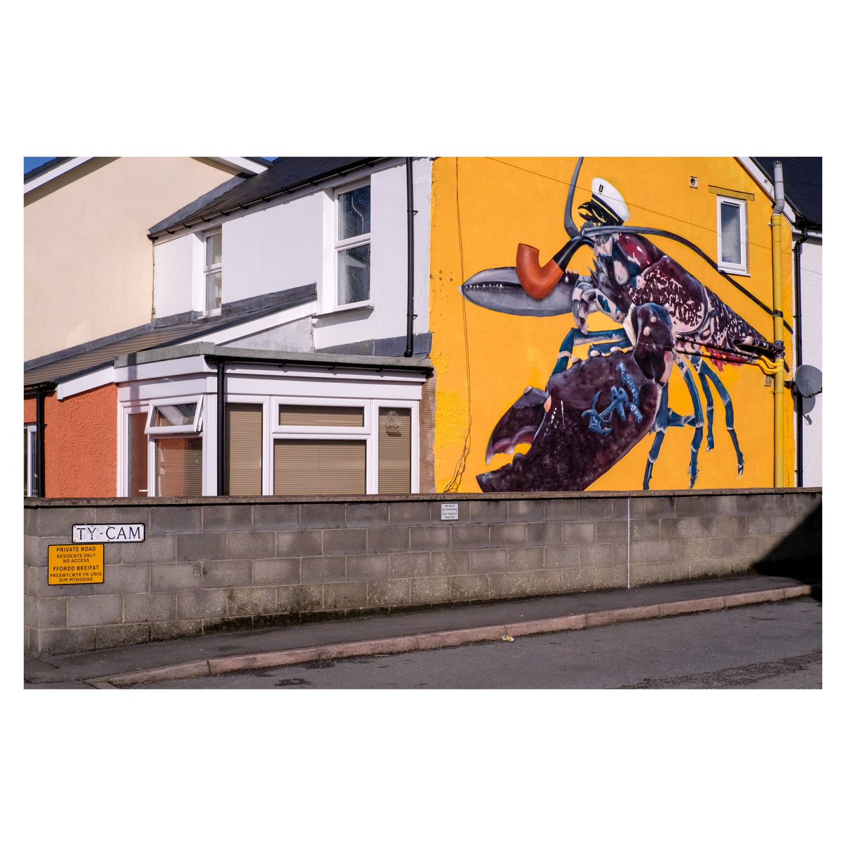 fwyalchen's tweet image. 07/04/2025 – 🦞

#penparcau #aberystwyth #ceredigion #canolbarthcymru #midwales #cymru #wales