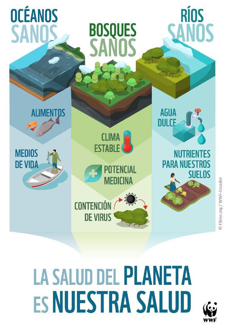 🌍💊 En el #DíaMundialdelaSalud, recordamos que no hay salud humana sin salud del planeta

→ El 70 % de las enfermedades humanas tienen origen animal
→ La destrucción de la naturaleza aumenta el riesgo de pandemias
→ Ecosistemas sanos, personas sanas