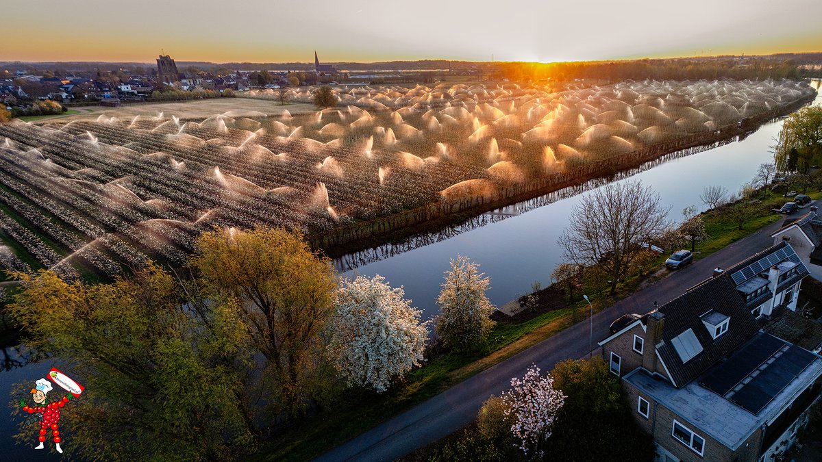 Goedemorgen en wat een mooi gezicht maar voor de fruittelers niet want die moesten hun boomgaarden besproeien vanwege de vorst om de bloesem te beschermen. #goedemorgen #beesd <a href="/Bloesemtocht/">Rode Kruis Bloesemtocht</a>