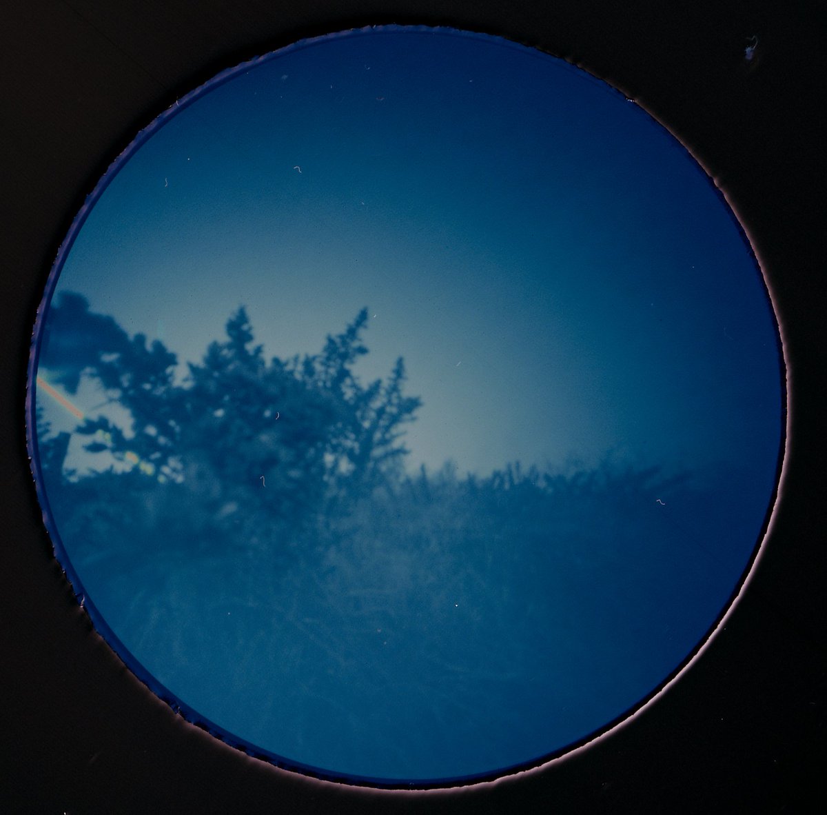 Hannah M tweet media