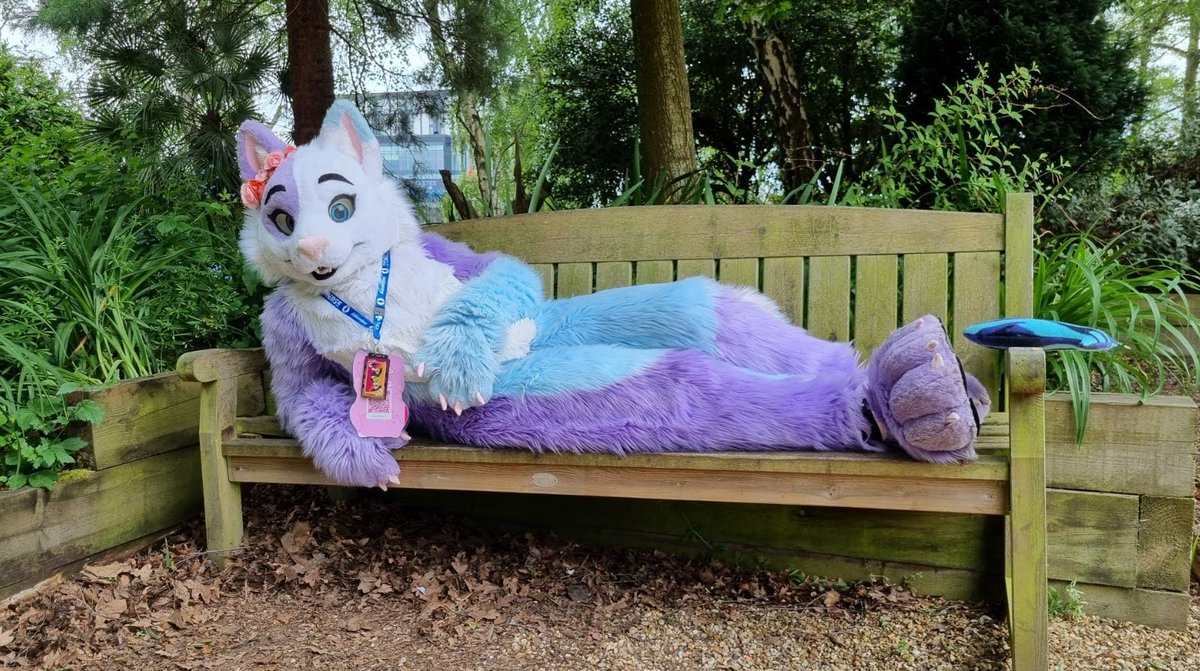 KitCat4681's tweet image. Also considering offers on Kitcat.
Full suit, about 6 years old but well looked after. Fits a uk size 14.
Unfortunately I just don't use her anymore. 
No need to change design but I would prefer to keep the name myself,  open to discussion though.