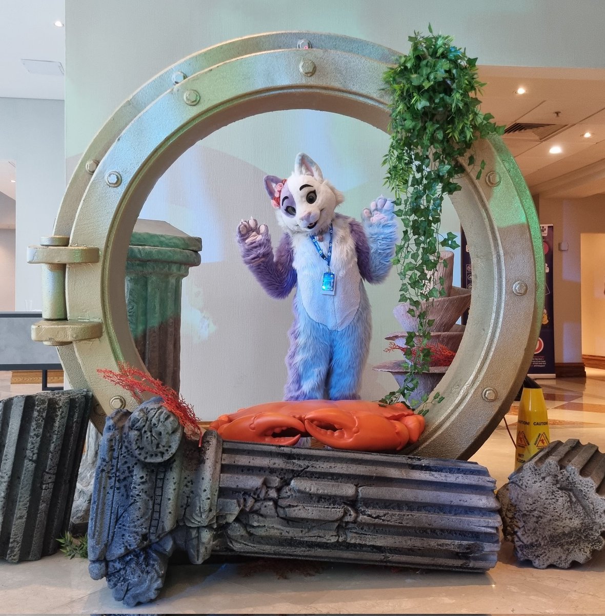 KitCat4681's tweet image. Also considering offers on Kitcat.
Full suit, about 6 years old but well looked after. Fits a uk size 14.
Unfortunately I just don't use her anymore. 
No need to change design but I would prefer to keep the name myself,  open to discussion though.