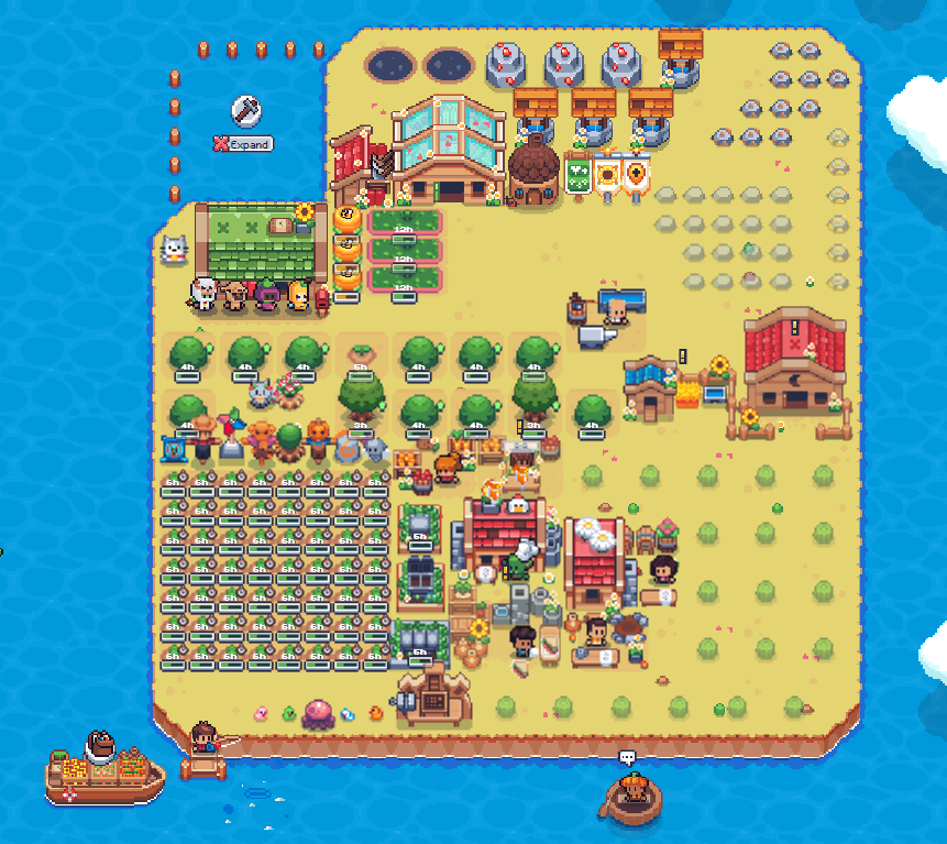 Sweet Home!
#SunflowerLandFarm