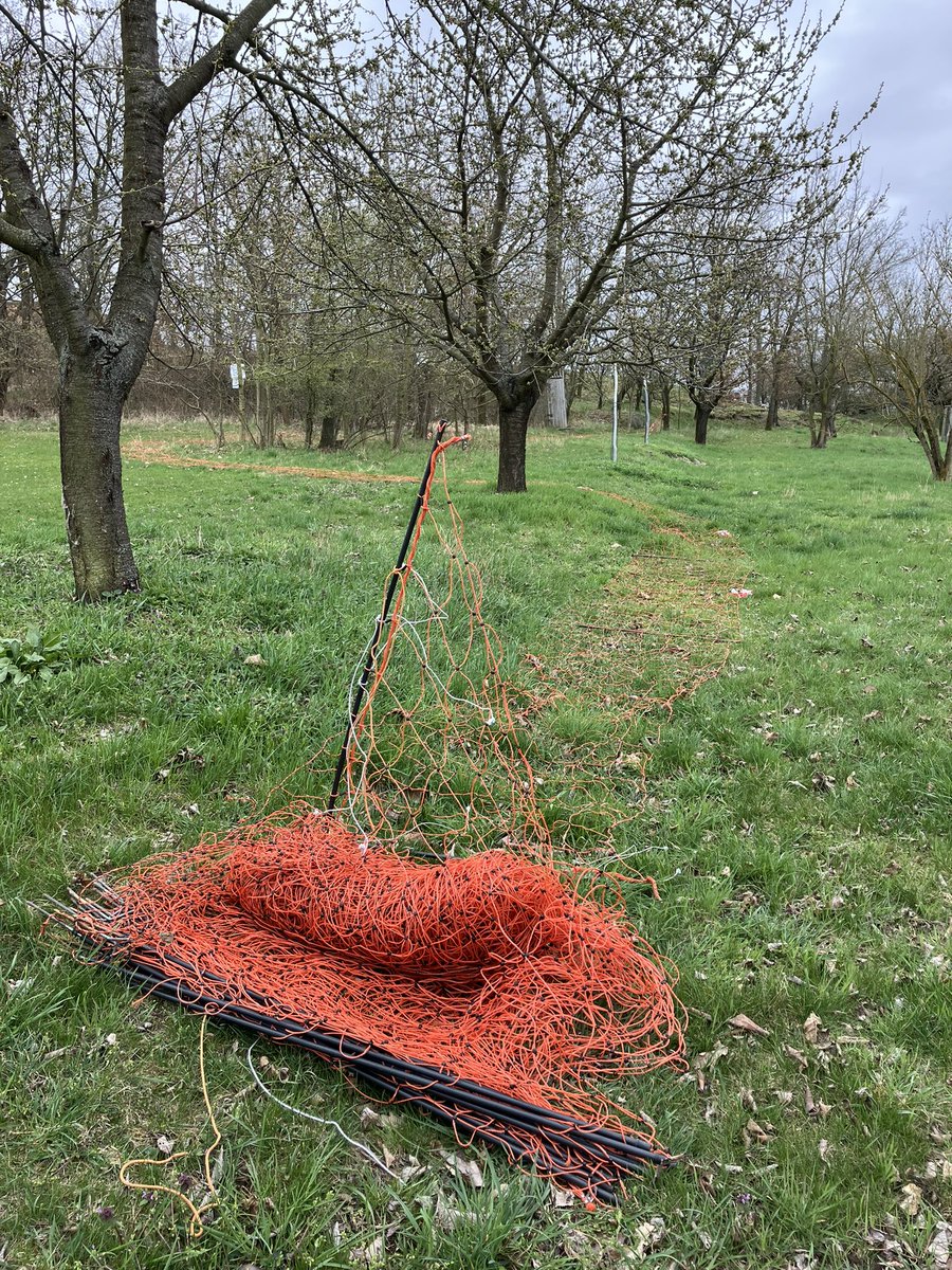 Judith Random 🫧 tweet media