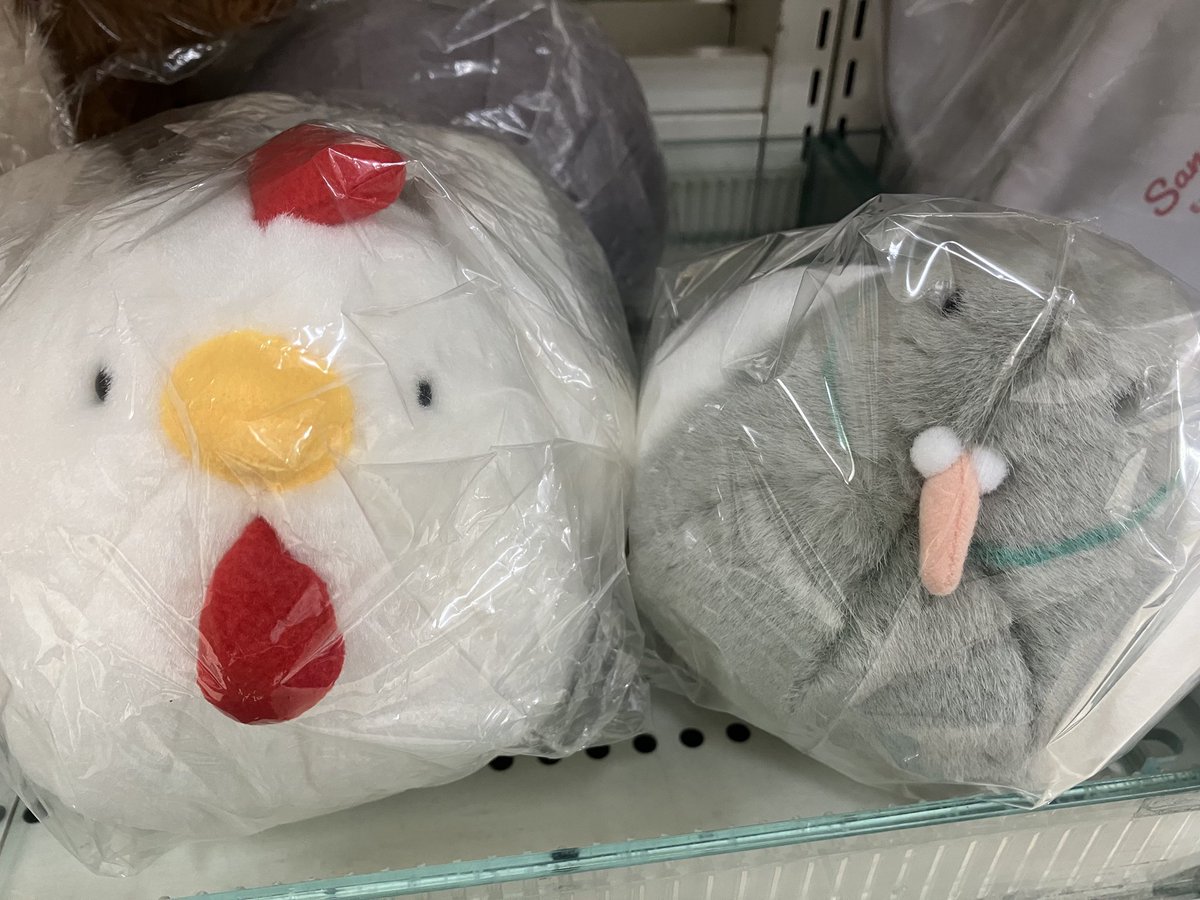 にわコッコページ 濃い抹茶こっこ 6個入り | こっこオンラインショップ