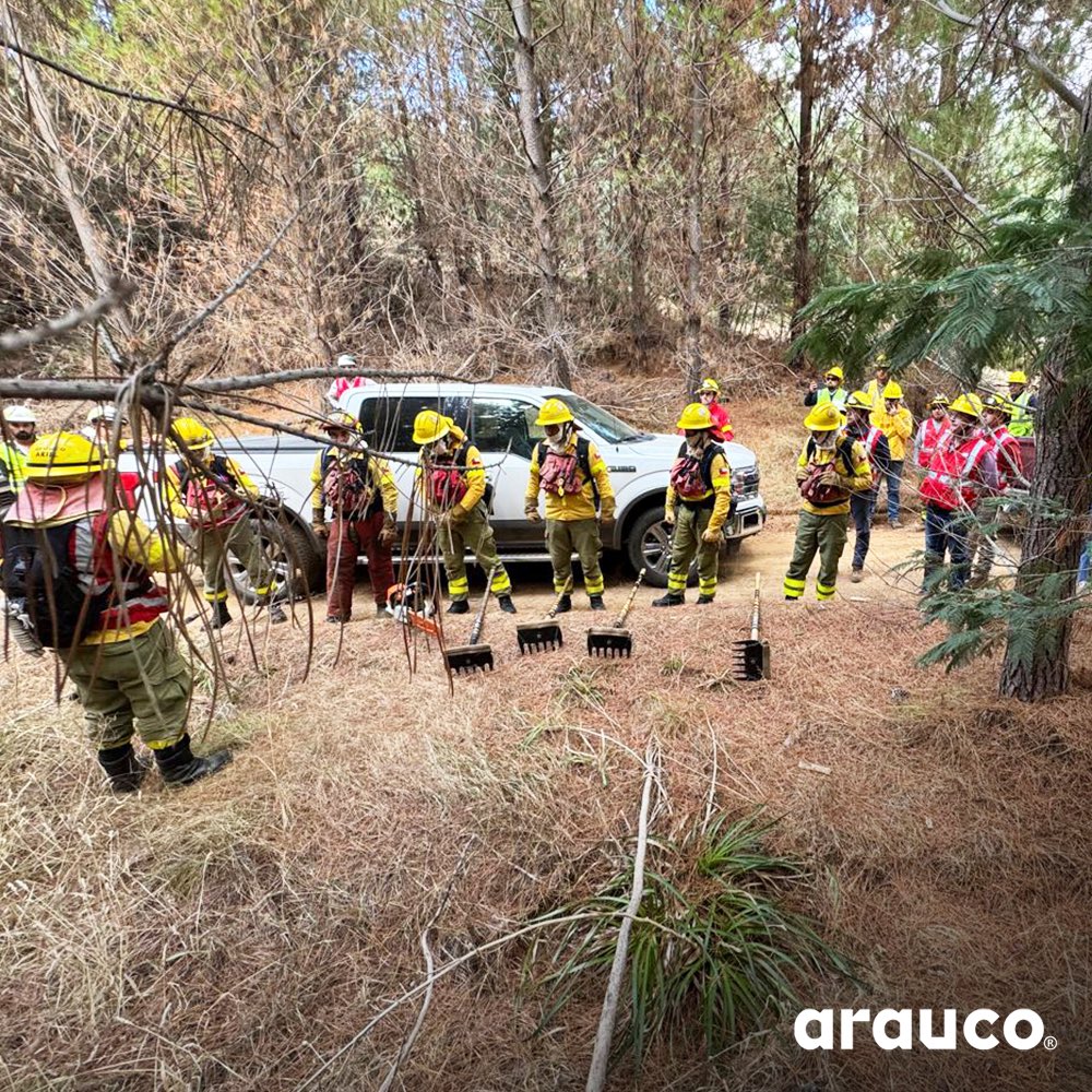 Compartir conocimiento para fortalecer la prevención, es una labor sin fronteras 💬

Participamos en una enriquecedora jornada de trabajo junto a los equipos de Incendios y SSO de CMPC y ARAUCO Brasil, donde intercambiamos experiencias y aprendizajes sobre la prevención y el